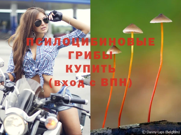 прущие крисы Балабаново